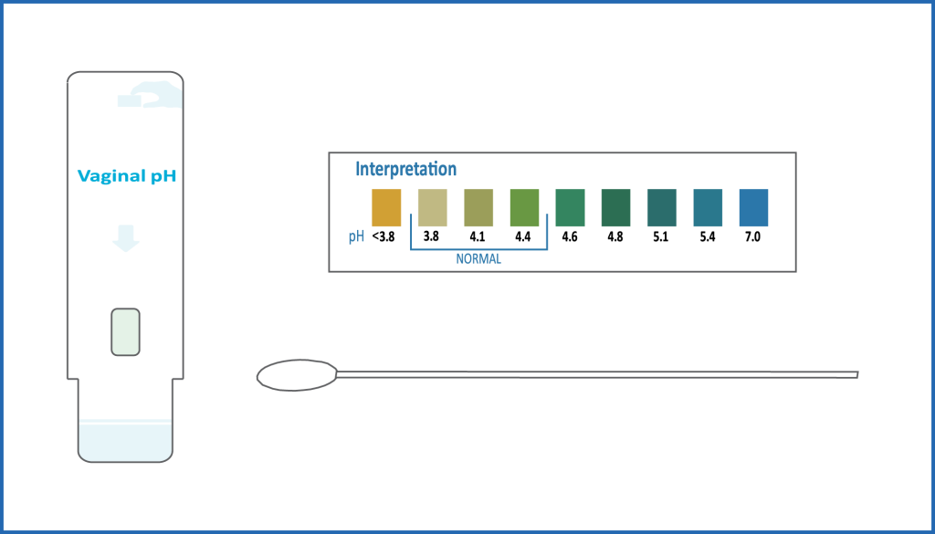 contenuti-web-100013-5