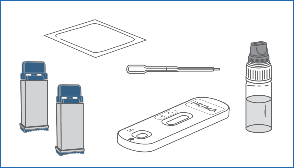 contenuti-web-sangue-D